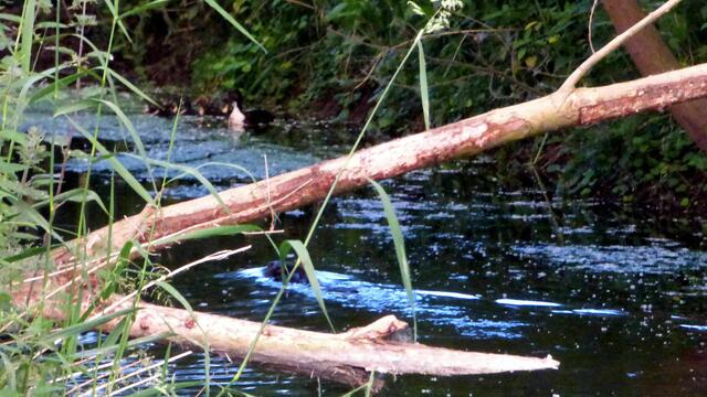 Als Nachtarbeiter fordere ich Schichtzulage