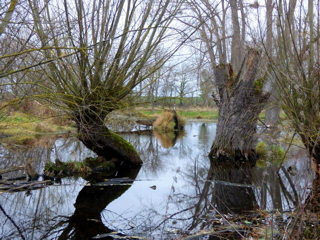 Unser neuer Übungsplatz am Koldinger Mühlenbach