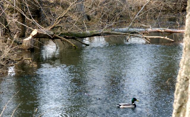 Er könnte als Schrankenwärter arbeiten