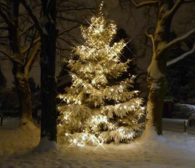 Und noch bevor das Weihnachtsfest beginnt, ist Anna von ihrer großen Reise zurück. | Foto: Christel Wolter