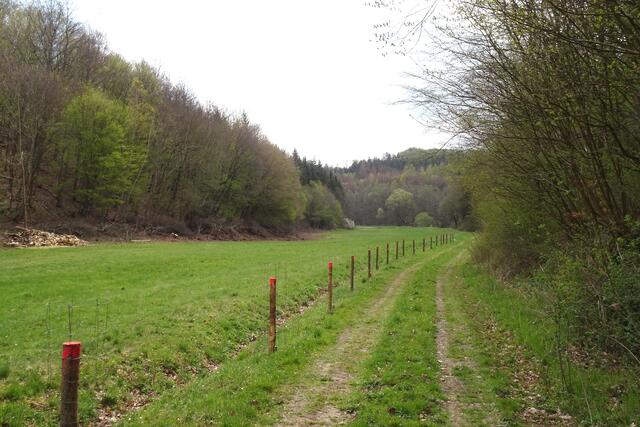 am Europäischen Wanderweg