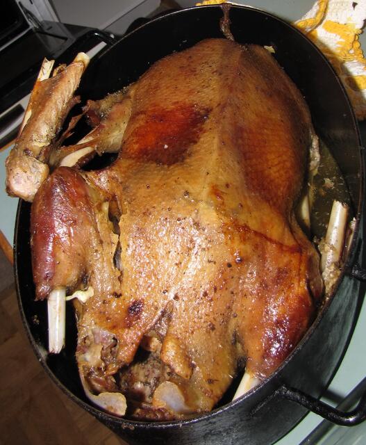 Weihnachten ist ein Fest des Friedens und der Freude. Aber nicht für alle. | Foto: Christel Wolter