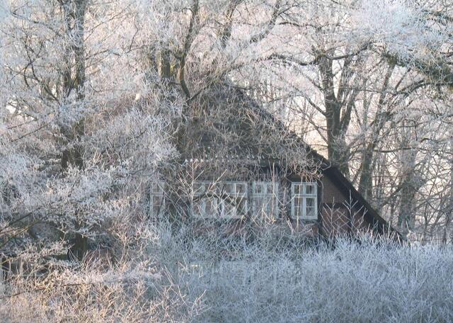 Doch als es auf Weihnachten zugeht, fällt ein Schatten auf die heile Gänsewelt.