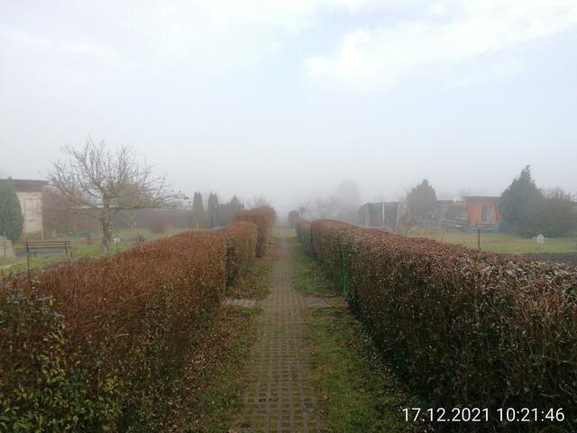 Nebelbild 2 - Temperaturen: Nachts 5,7° / 10:18 6,9° / 13:15 7,1°  19.12.2021 !!! Sonntagsbilder 2021 !!!