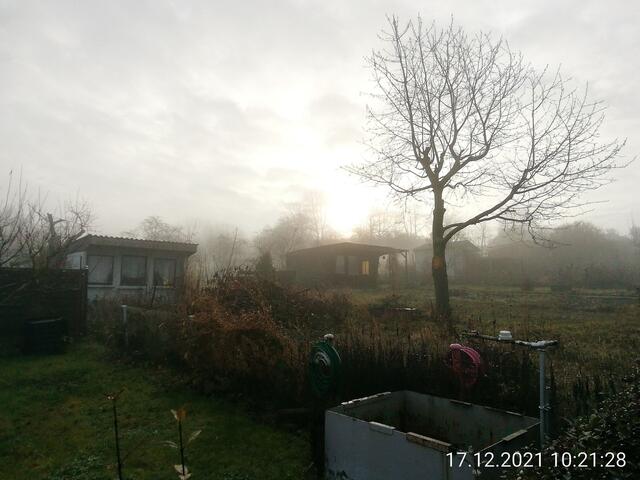 Nebelbild 1 - Temperaturen: Nachts 5,7° / 10:18 6,9° / 13:15 7,1°  19.12.2021 !!! Sonntagsbilder 2021 !!!