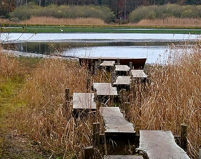 Der Reiher hat den See ganz für sich alleine.