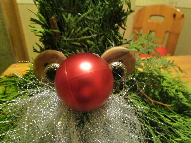 Da guckt er nun verwundert,  mit seinen (doppel) KNOPaugen,  sein rote erfrohrene Nase an.