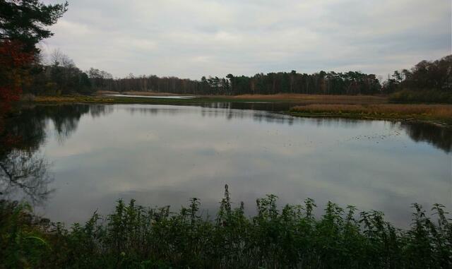 Der Himmel spiegelt sich im Wasser.