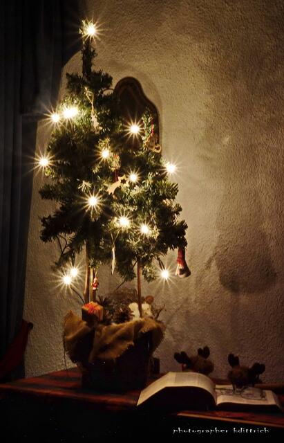 Oh Tannenbaum.....