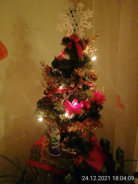 Weihnachtsbaum - Temperaturen: Nachts 8,7° minus  / 10:18 5,9° minus / 13:15 2,1° minus  -  26.12.2021 !!! Weihnachts-Sonntagsbilder 2021 !!!