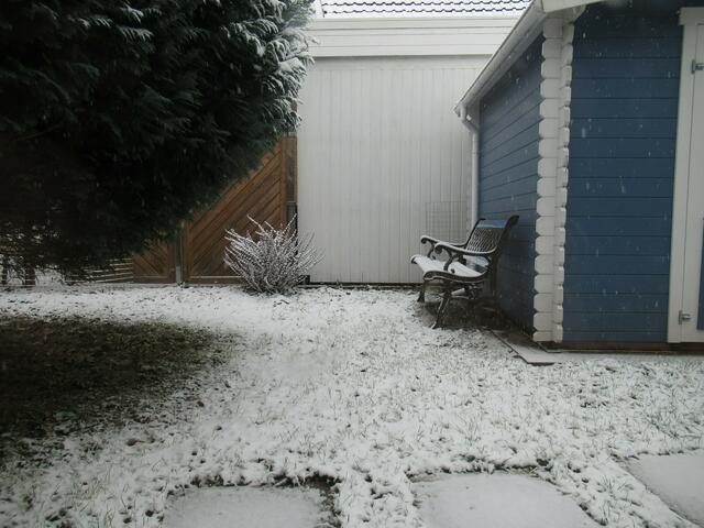 Blick aus dem großen Esszimmerfenster in Richtung unserer kleinen Ruhe-Oase im Garten am 25.12.2021 gegen 10.40 Uhr.