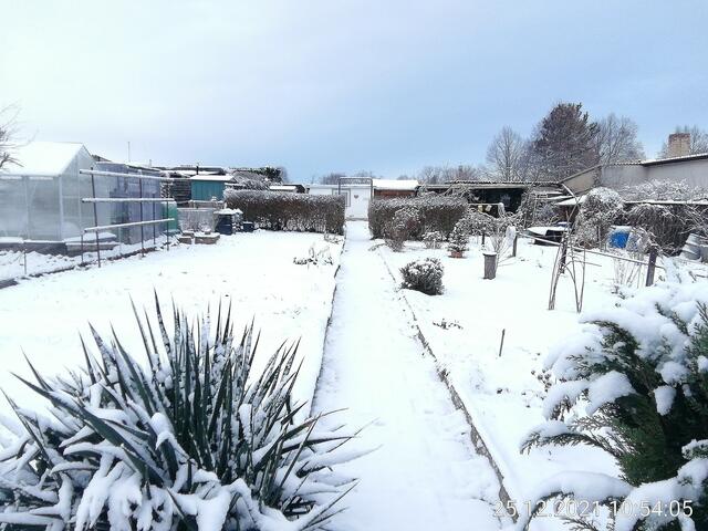 Weihnachtsgarten - Temperaturen: Nachts 8,7° minus  / 10:18 5,9° minus / 13:15 2,1° minus  -  26.12.2021 !!! Weihnachts-Sonntagsbilder 2021 !!!