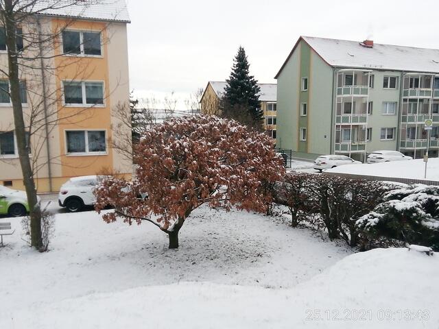 Winterbild 2 - Temperaturen: Nachts 8,7° minus  / 10:18 5,9° minus / 13:15 2,1° minus  -  26.12.2021 !!! Weihnachts-Sonntagsbilder 2021 !!!