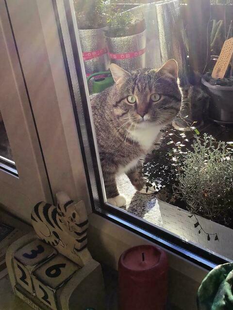 Unangemeldeter Besuch aus der Nachbarschaft... ;-)))