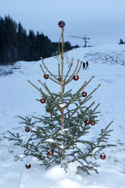 Weihnachtsbaum auf der A49 - sogar mit Mistelzweig
