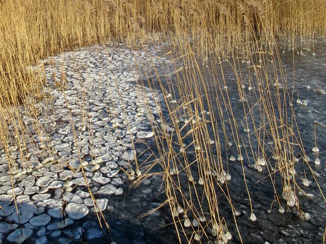 Kleine Eisschollen