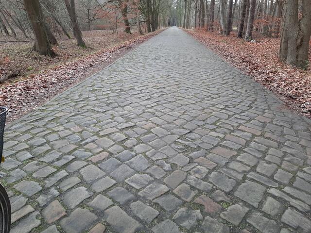 Seitenstreifen zum Ausweichen? Hier nicht ...