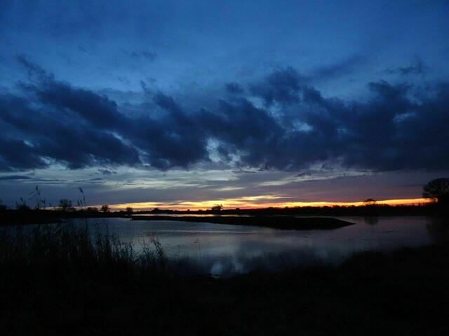 Nachfolgende Bilder sind  direkt ander Elbe aufgenommen