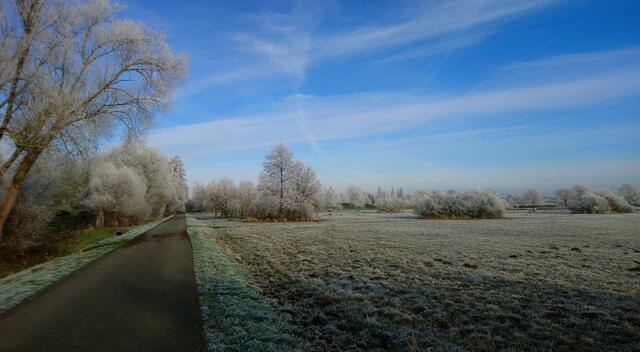 Im Wietzepark
