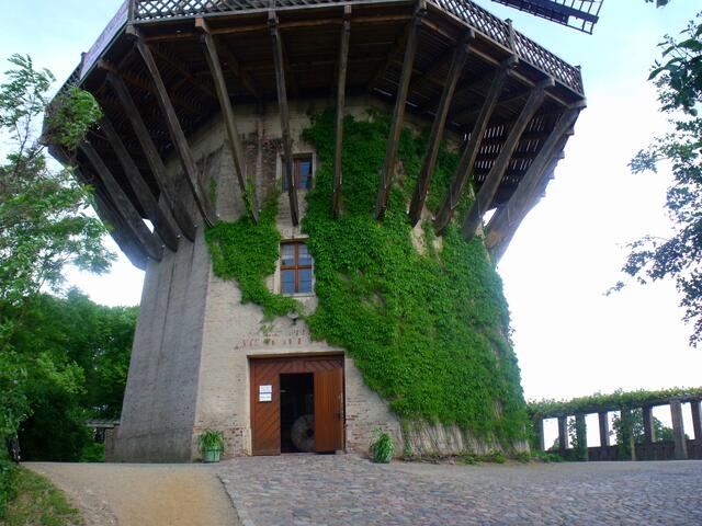 Eingang zur Mühle, die gleichzeitig ein Museum ist. Einen Besuch kann ich nur empfehlen, allerdings muss man derzeit die Öffnungszeiten erfragen. Mehlverkauf erfolgt momentan vor Ort nicht, bei Bedarf kann man sich per e-Mail an den Shop wenden.