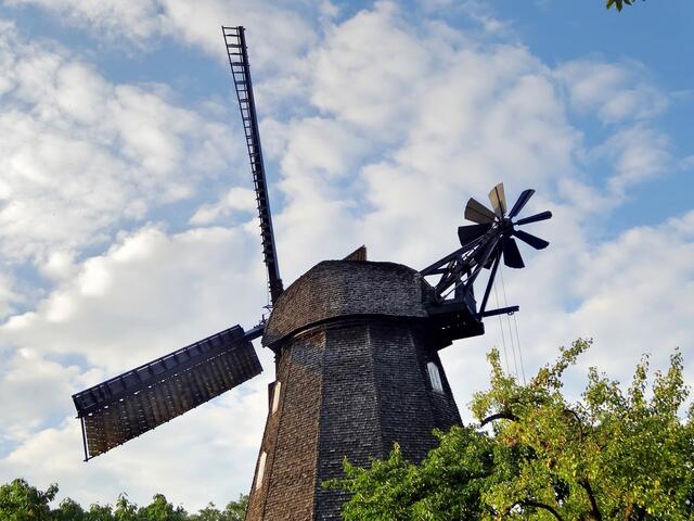 Die Britzer Mühle am Rande des Britzer Gartens mahlt als einzige der ursprünglichen Hauptstadtmühlen noch Mehl mit Windkraft.