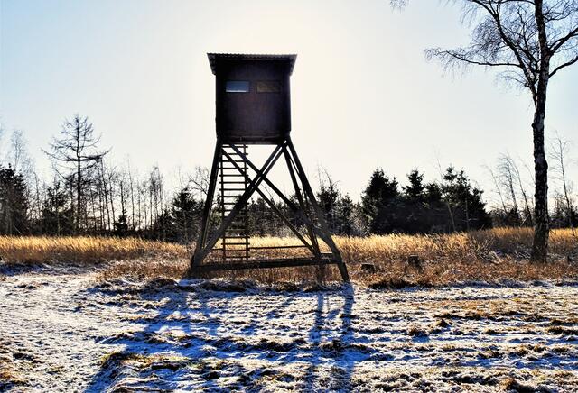 Hochstand auf der Bärenwiese im Gegenlicht
