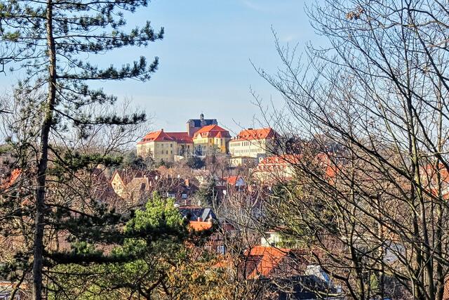 Blick vom Denkmal Albrecht der Bär im Stadtpark auf das Schloss Ballenstedt