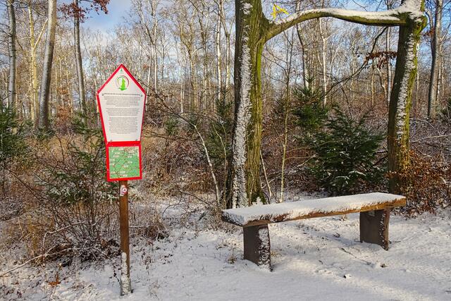 Station 4 des 2020 zum  850 Todestag des Markgrafen Albrecht den Bären neu geschaffenen Wanderrundweges, den Albrechtsweg.