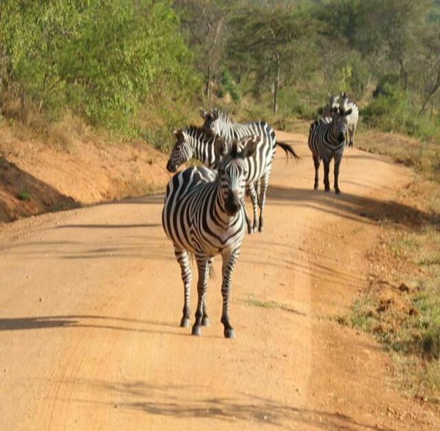 Wessen Straße ist das?