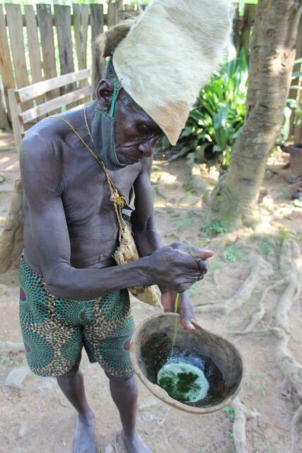 Der Batwa-König demonstriert, was man mit Heilpflanzen anstellen kann.