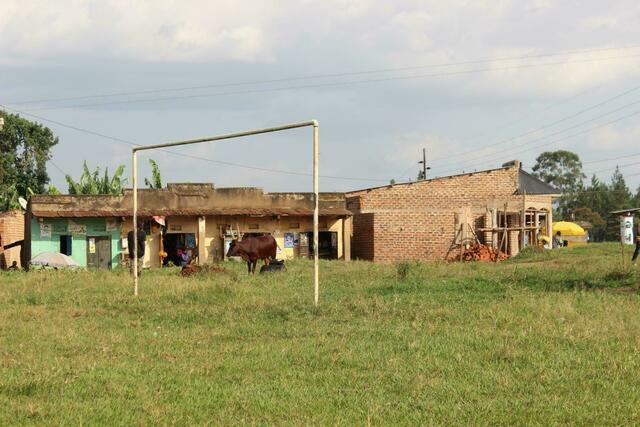 Fußballplatz und Kuhweide in einem