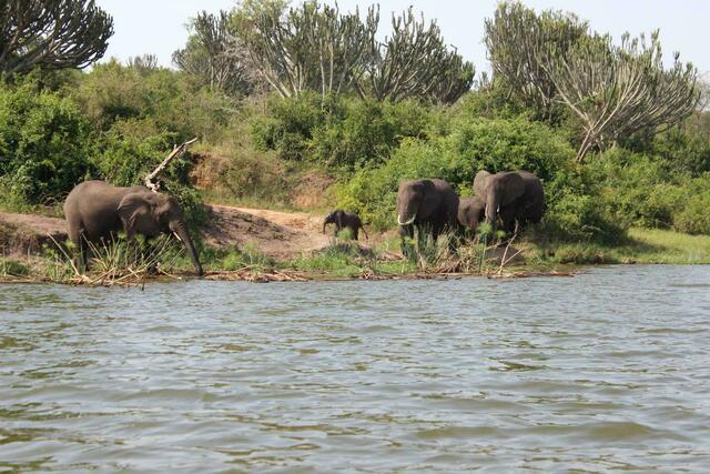 Lasst uns nen Schluck trinken!