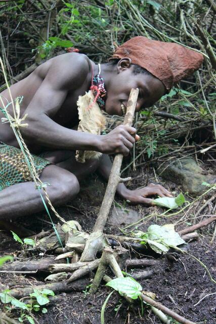 Fallen-Demonstration