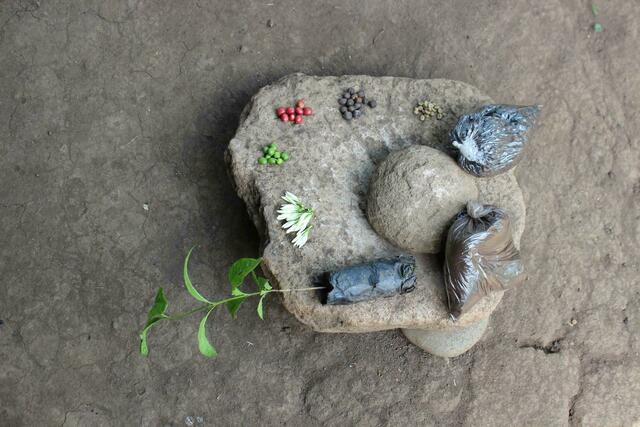 Die verschiedenen Stadien von Kaffee