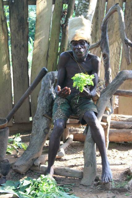 Pflanzen-Arsenal des Pygmäen-Königs