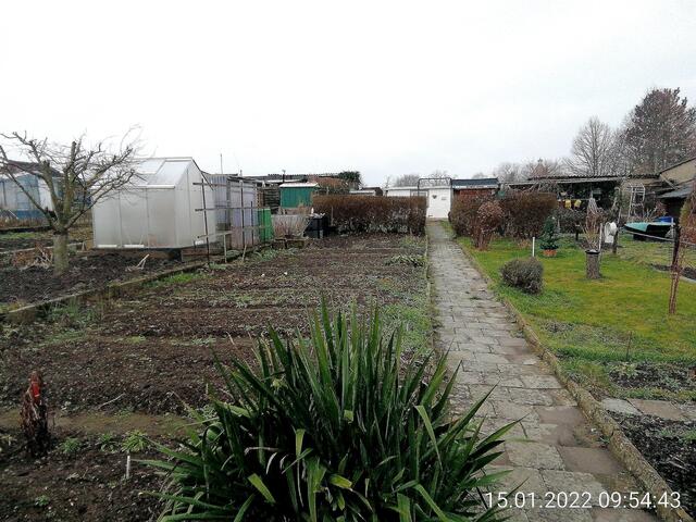 16.1.2022 !!! Gartenschau - Sonntagsbilder 2021 !!!    Temperaturen: Nachts 0,7° plus  / 10:18 2,9° plus / 13:25 4,2° plus   Die Temp­eraturen in Nebra steigen heute maximal auf 4 Grad Celsius. In der Nacht wird mit -1°C die Tiefst­temperatur erreicht.
Die Niederschlags­wahrscheinlichkeit beträgt 30% und die Niederschlags­mengen sind mit 0,6 l/m² berechnet. Zudem liegt die heutige Luft­feuchtigkeit bei 91%.
Sonnen­aufgang ist um 08:10 Uhr, Sonnen­untergang um 16:34 Uhr. Dazwischen lässt sich die Sonne 0,0 S | Foto: MW-FotoNebra