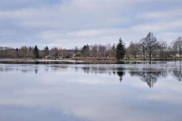 Treuer Nachbarteich