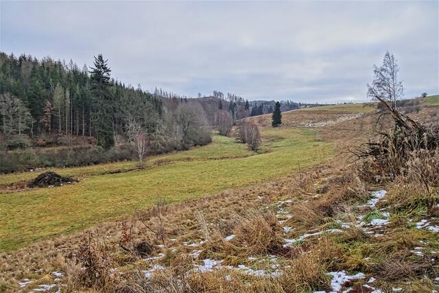 Bergwiesen