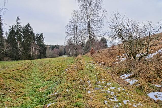 Teil des Neudorfer Bergbaulehrpfades