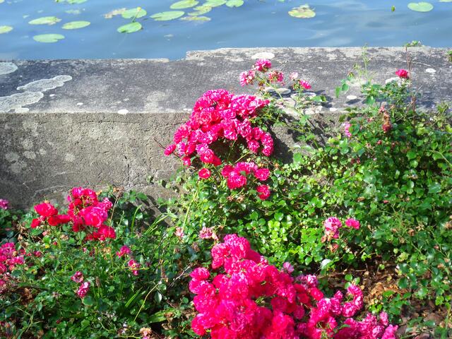 Wenn man nach dem Gesehenen durchatmen muss, hilft ein Rundgang durch den Villengarten mit Skulpturen, die Rhododendronallee und der Ausblick auf den Wannsee.