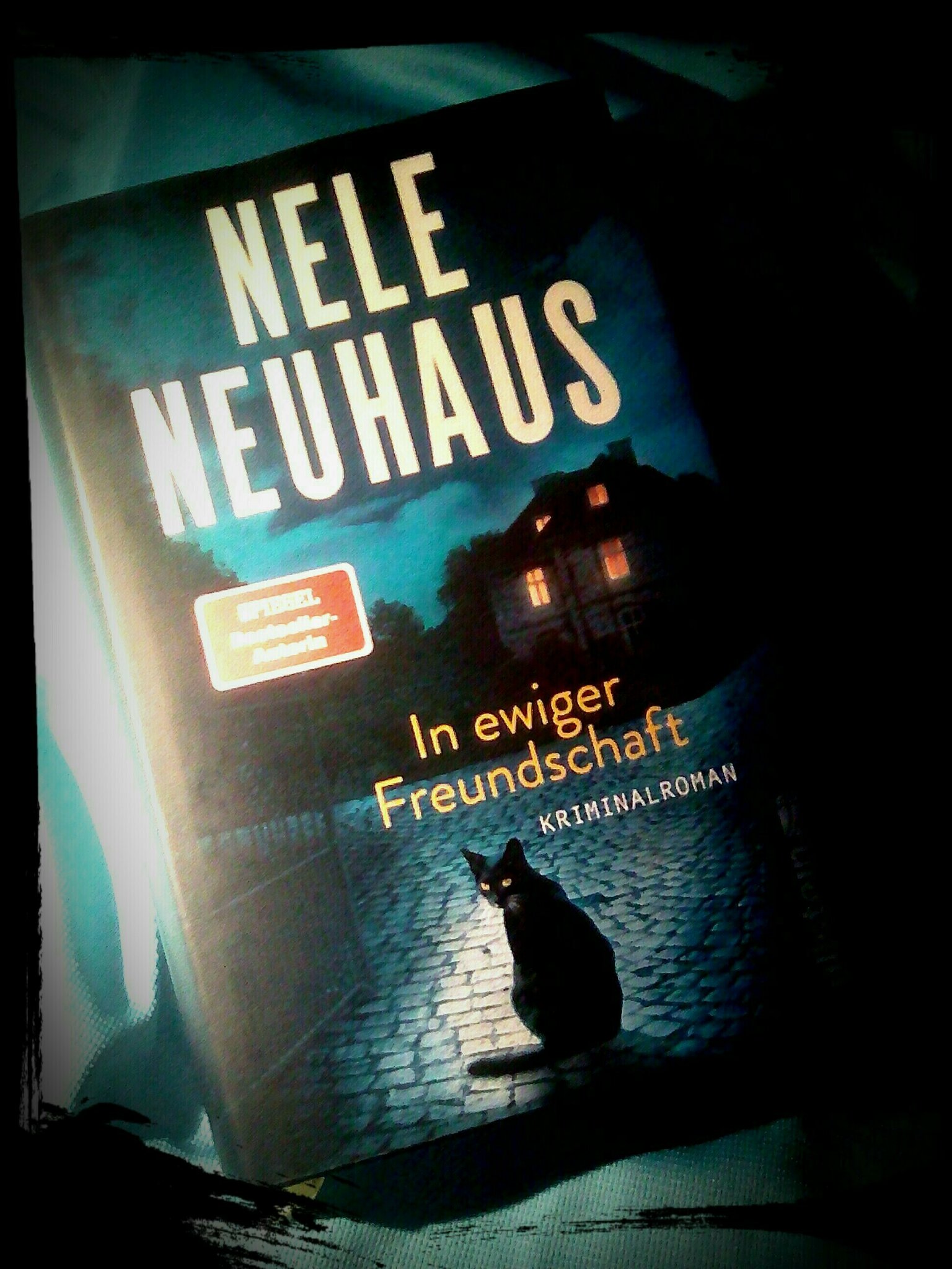 Nele Neuhaus In Ewiger Freundschaft