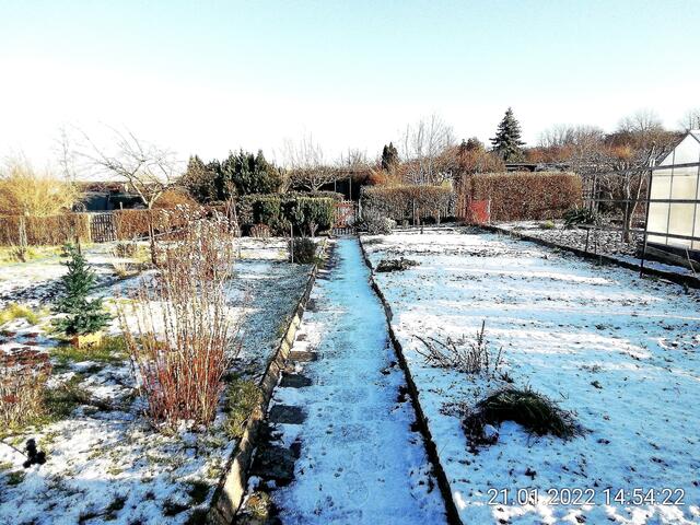 21.1.2022 !!! Gartenschau - Sonntagsbilder 2021 !!!  Die Temp­eraturen in Nebra steigen heute maximal auf 6 Grad Celsius.
In der Nacht wird mit 3°C die Tiefst­temperatur erreicht. Die Niederschlags­wahrscheinlichkeit beträgt 55% und die Niederschlags­mengen sind mit 1,6 l/m² berechnet. Zudem liegt die heutige Luft­feuchtigkeit bei 92%.
Sonnen­aufgang ist um 08:04 Uhr, Sonnen­untergang um 16:44 Uhr.
Dazwischen lässt sich die Sonne nicht sehen. Der Wind weht mit 14 km/h aus Nord-West. | Foto: MW-FotoNebra