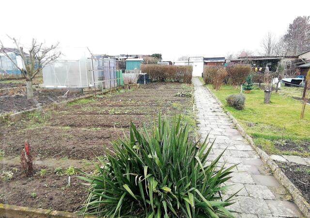 23.1.2022 !!! Gartenschau - Sonntagsbilder 2021 !!!  Die Temp­eraturen in Nebra steigen heute maximal auf 6 Grad Celsius.
In der Nacht wird mit 3°C die Tiefst­temperatur erreicht. Die Niederschlags­wahrscheinlichkeit beträgt 55% und die Niederschlags­mengen sind mit 1,6 l/m² berechnet. Zudem liegt die heutige Luft­feuchtigkeit bei 92%.
Sonnen­aufgang ist um 08:04 Uhr, Sonnen­untergang um 16:44 Uhr.
Dazwischen lässt sich die Sonne nicht sehen. Der Wind weht mit 14 km/h aus Nord-West. Der Luft­druck liegt bei | Foto: MW-FotoNebra