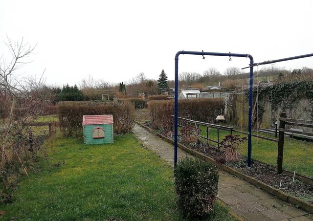 23.1.2022 !!! Gartenschau - Sonntagsbilder 2021 !!!  Die Temp­eraturen in Nebra steigen heute maximal auf 6 Grad Celsius.
In der Nacht wird mit 3°C die Tiefst­temperatur erreicht. Die Niederschlags­wahrscheinlichkeit beträgt 55% und die Niederschlags­mengen sind mit 1,6 l/m² berechnet. Zudem liegt die heutige Luft­feuchtigkeit bei 92%.
Sonnen­aufgang ist um 08:04 Uhr, Sonnen­untergang um 16:44 Uhr.
Dazwischen lässt sich die Sonne nicht sehen. Der Wind weht mit 14 km/h aus Nord-West. Der Luft­druck liegt bei | Foto: MW-FotoNebra