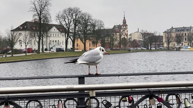 Auf dem Rundweg um den Pfaffenteich. Foto: Helmut Kuzina