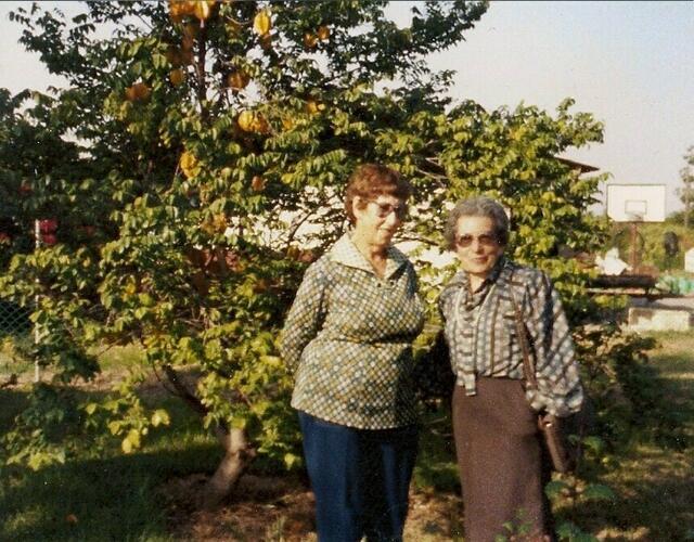 Zwei ehemalige Leipzigerinnen: Inge (rechts) und Steffi -  vor einem Karambola-Baum (wird hier auch Sternfrucht genannt) auf Steffis Grundstück in Gedera.