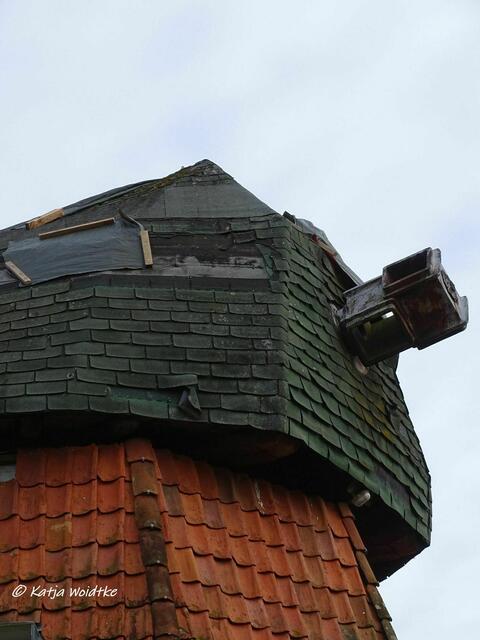 Mühlenmontag - Erdholländer in Mellendorf (Foto: Katja Woidtke) | Foto: Katja Woidtke