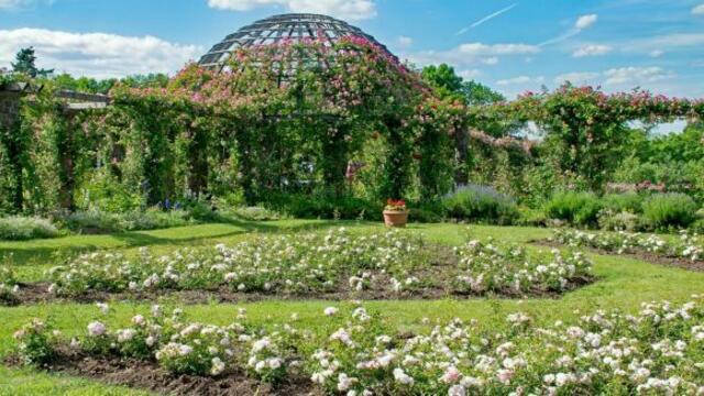 Der Park Rosenhöhe
