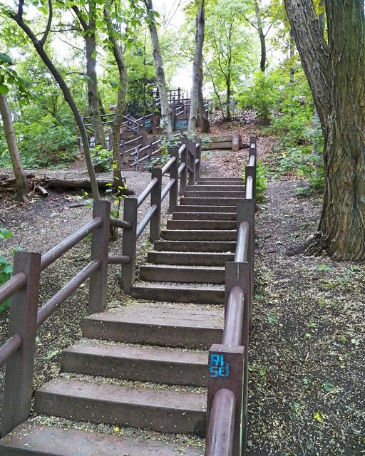 Treppen führen unter schattigen Bäumen 85 Meter den Hang hínauf zu den Flaktürmen der Humboldthöhe.