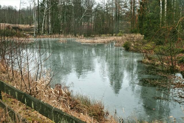 auf der Eisfläche des kleinen Teichs, zwischen Tanngarten und Breitenstein, befindet sich Wasser.